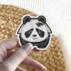 Cute Cuddly Panda 2