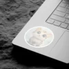 High-quality Cute Kitten #2 Vinyl Sticker – scratch resistant and UV resistant waterproof decal sticker for laptop and bottle