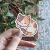 Kawaii Cat Vinyl Sticker #2#4