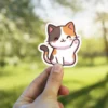 Kawaii Cat Vinyl Sticker #9
