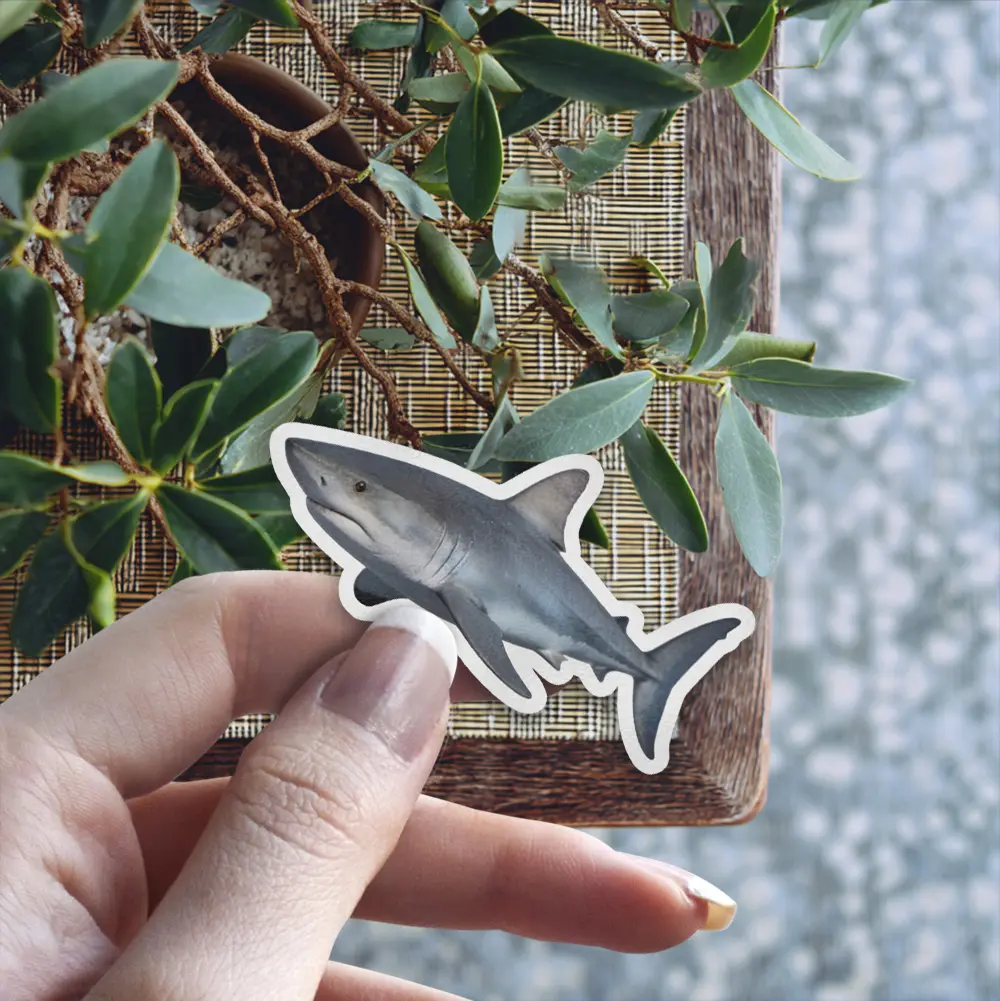 Realistic shark waterproof vinyl sticker, UV resistant decal.