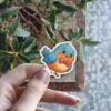 A charming cartoon blue bird with an orange belly and a red polka dot bow tie.