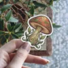 A detailed illustration of a whimsical mushroom with intricate swirling vine patterns on its cap and stem, surrounded by delicate leaves.