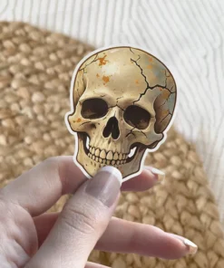 Cracked weathered human skull, rustic orange patina, intricate bone texture, die-cut vinyl sticker.