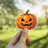 A smiling jack-o-lantern with carved features and visible cracks, orange color, Halloween decoration vinyl sticker.
