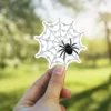 Black spider, dew covered web, intricate web design, nature inspired, insect illustration, vinyl sticker
